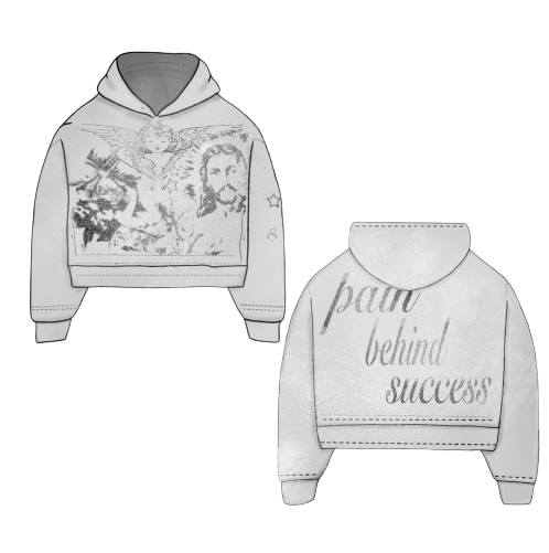 Pain behind success Hoodie